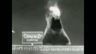 Community Coffee - Fired (CRAPPY QUALITY)