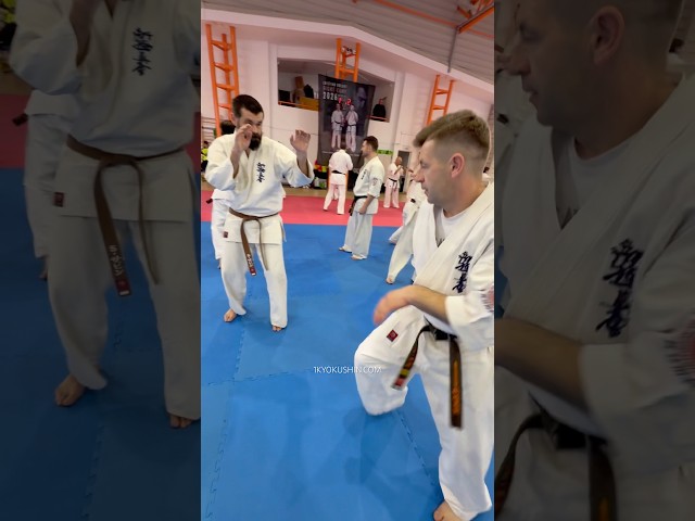 Cristian Boldut Fight Camp 2026 #kyokushin #shinkyokushin #karate #1kyokushin #一極真 #極真会館