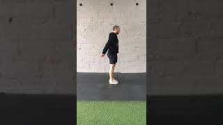 Single Leg Deck Squats