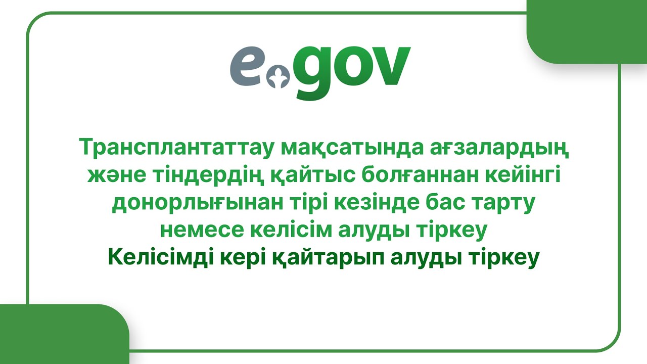 Порно әйел мен және оның досы Ағасы әпкесінің мысығын жалайды