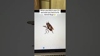 Best Office Programming Jokes (Animated)