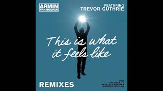 Armin van Buuren - This Is What It Feels Like (Dan Winter Bootleg Radio)