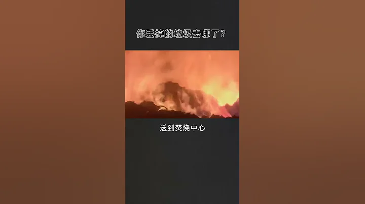 你丟掉的垃圾都去哪兒了 - 天天要聞