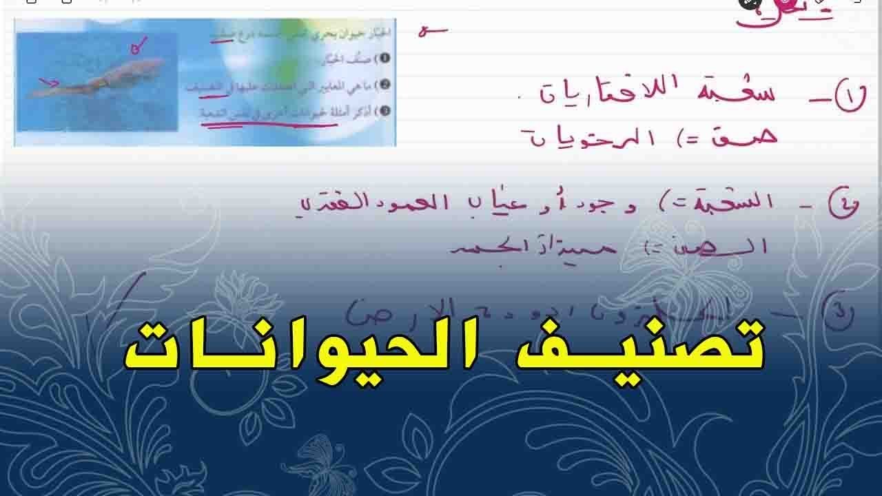علوم طبيعية الثانية متوسط معايير تصنيف حيوان الحبار