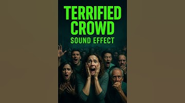 Terrified Crowd Sound Effect | Screaming Panic and Chaos FX