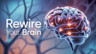 Neuroplasticity & Brain Development | The Dynamic Architecture of the Mind