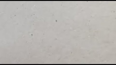 A smooth semicircular wire track of radius R is fixed on a vertical plane.....(Circular Motion)