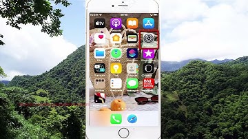 iPhone 7 : How to enable or disable Adjust zoom level Keyboard shortcuts