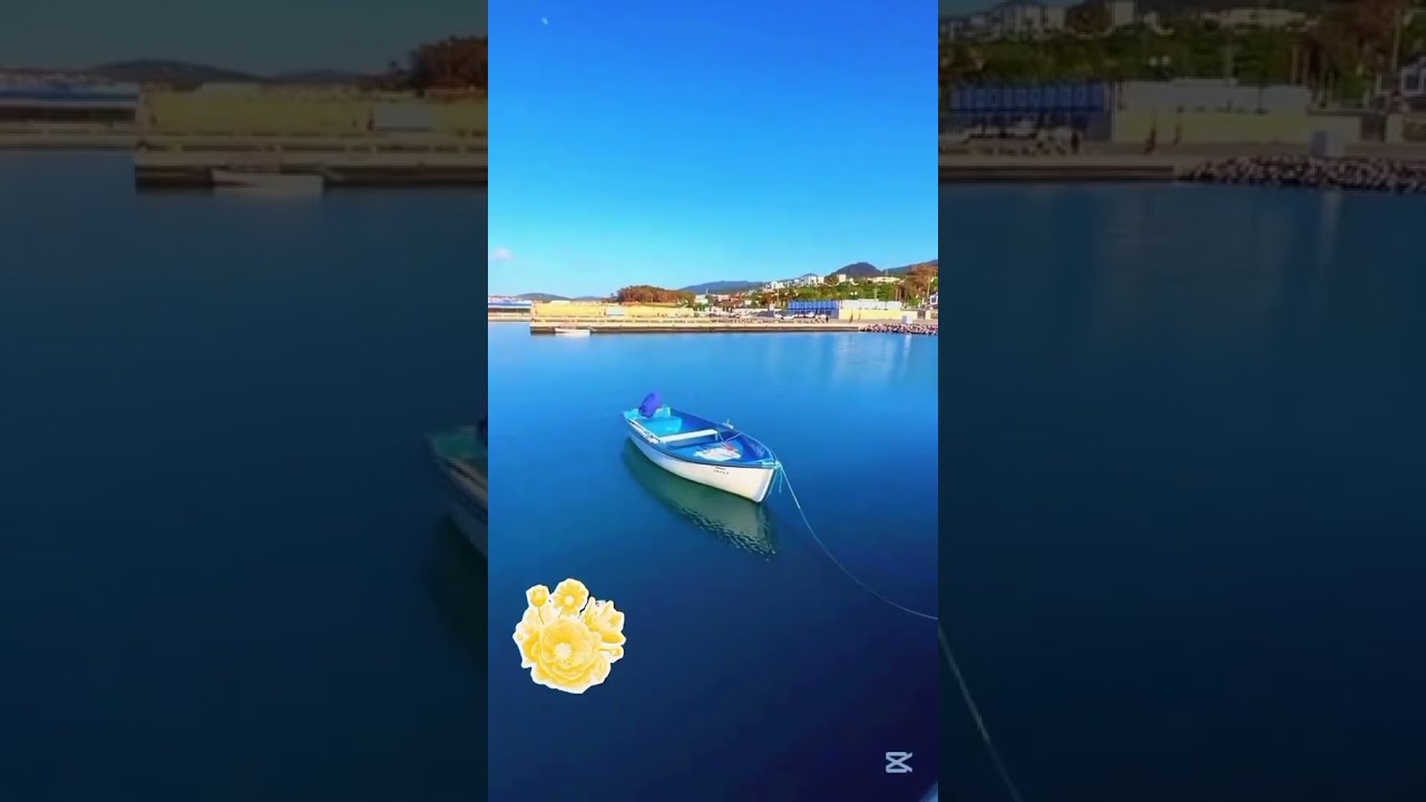 آيات بينات من الذكر الحكيم .قرآن كريم راحة نفسية #الرحمن