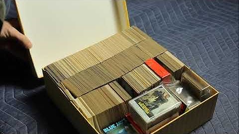 Module 4 Activity: Interview Plus B-roll