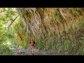 Solo Hiking in the Texas Heat | Lost Maples State Park