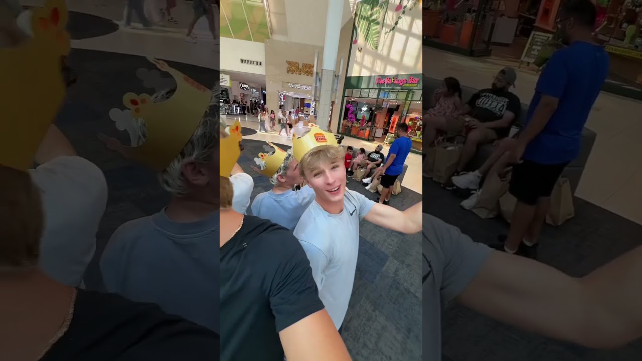 Pov 1 5