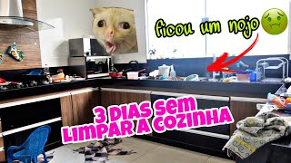 QUE NOJO ? FIQUEI 3 DIAS S/ LIMPAR A COZINHA OLHA COMO FICOU | LIMPEZA NA COZINHA | CANSEI ? FAXINA