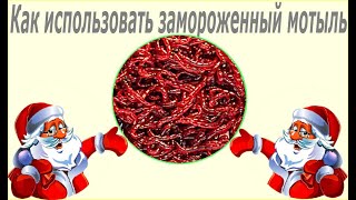 Как использовать замороженный мотыль.