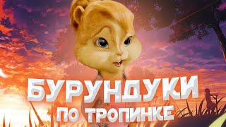 БУРУНДУКИ ПОЮТ MIA BOYKA - БЕГУ ПО ТРОПИНКЕ