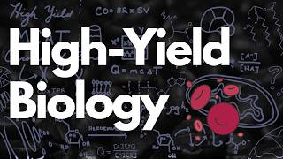High Yield MCAT Question: Oxyhemoglobin Dissociation Curve