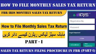 Full How to File Monthly Sales Tax Return in Pakistan 2024 (Part-I) I Sales Tax Return Filing Process News