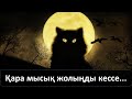 Қара мысық жолыңды кессе...