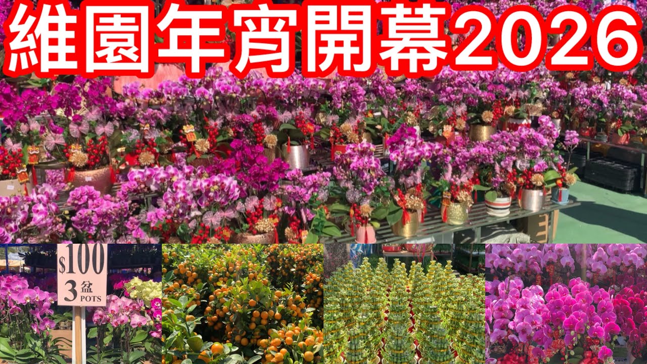 維園年宵開幕2026