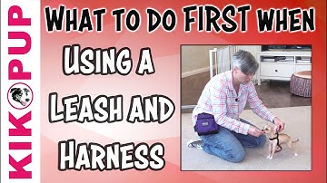 What to do FIRST - Getting Started with Leash Training