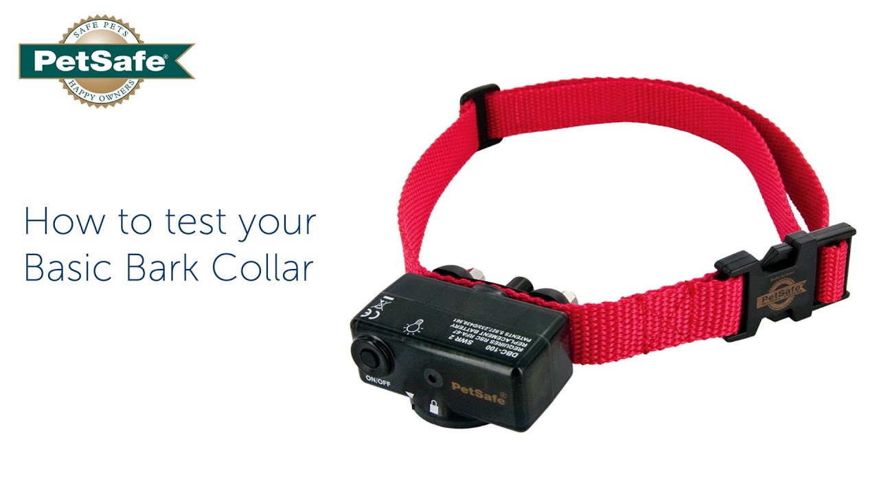 How To Use A Bark Collar | peacecommission.kdsg.gov.ng