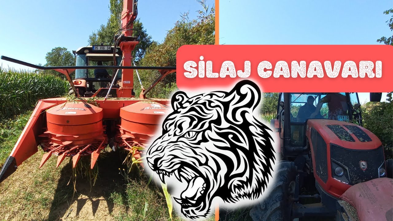 SİLAJ CANAVARI İŞ BAŞINDA! / ÇOKCANLAR 2100 3 SIRA SİLAJ MAKİNESİ / ERKUNT KUDRET 105
