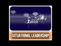 Situational Leadership