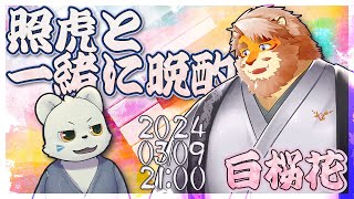 【雑談コラボ】照虎と一緒に晩酌 240309【VTuber 抹皚遊氣｜花鎧照虎】