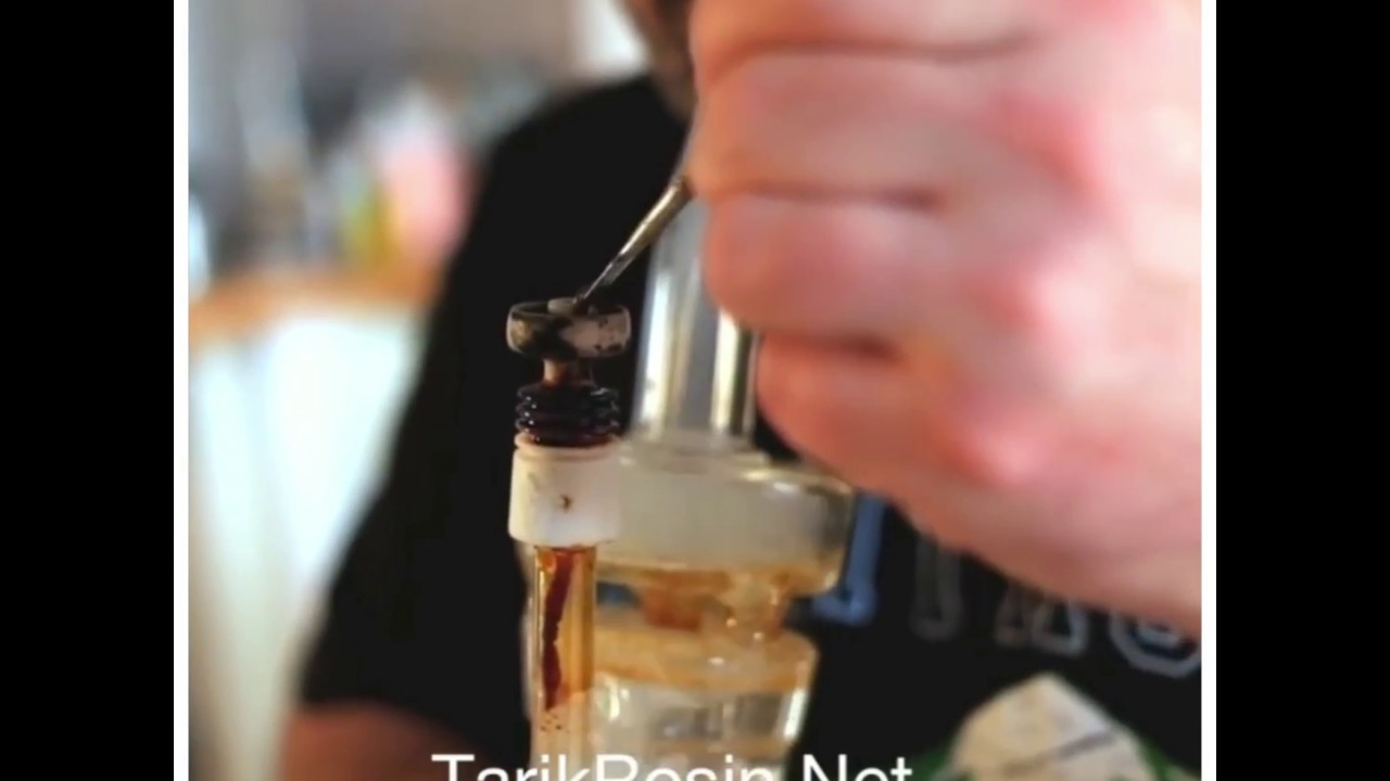 Tarik Rosin TREX 1 Review High Times