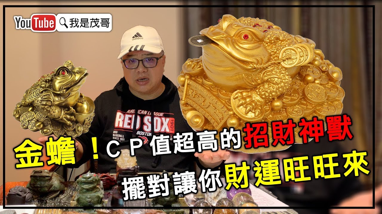 金蟾！CP值超高的招財神獸｜擺對讓你財運旺旺來- YouTube