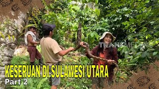 KESERUAN DI SULAWESI UTARA | JEJAK PETUALANG (24/04/24) Part 2