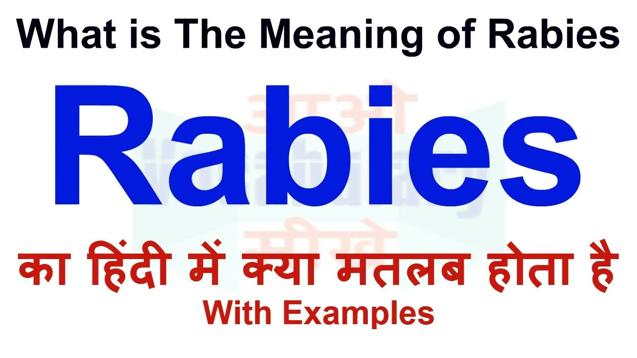 Rabies Meaning In Hindi Rabies Definition Rabies Ka Matlab Kya Hota Rabies Meaning In Hindi Rabies Definition Rabies Ka Matlab Kya Hota