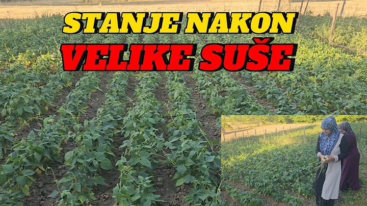 Kakvo je stanje sa KROMPIROM i GRAHOM nakon NEZAPAMĆENIH SUŠA❓️❓️❓️🤔 Kahva u prirodi🥰@@@