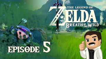 Comment attraper un poisson dans Zelda ?