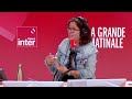 Dette : "Il n'y a pas de moyen d'éviter ce qui vient si on ne se ressaisit pas" pour François Bayrou