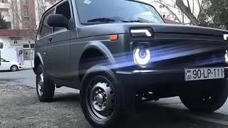 Meni Avare Taniyirlar