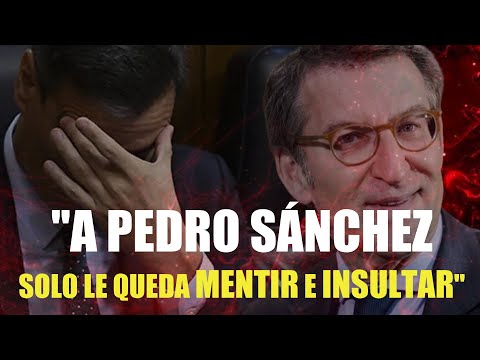Pedro Sánchez está acabado y ya solo puede mentir e insultar a Feijóo: Hugo Pereira lo analiza