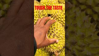 Download Lagu Southeast Asia Classic 🇲🇾 #youtubeshorts #shorts #malaysia #shortsvideo #viral #love #malaysian MP3