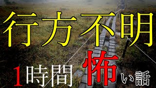 【2ch怖い話】行方不明にまつわる怖い話⑤【ゆっくり怪談,作業用BGM,恐怖ランクA,怪談,朗読】 These are ghosts in the story.