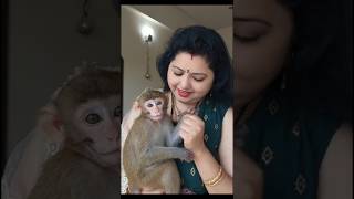 Monkey my friend | Cute Animal Video | #Monkey #CuteAnimals #MonkeyVideo #CuteMonkey#ViralVideo