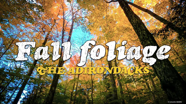 Short waterfall hike in the Adirondack Mountains