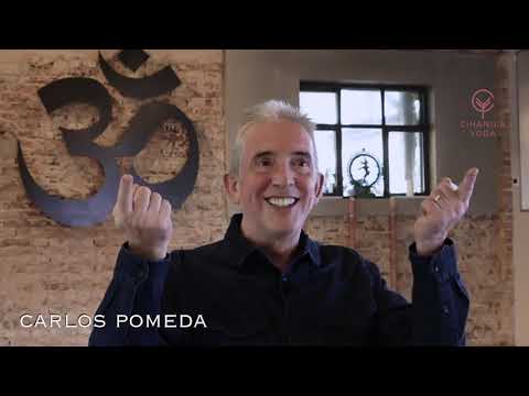 Carlos Pomeda Mini Series - YouTube