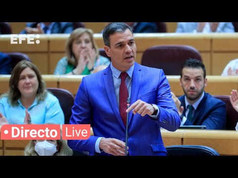 🔴📡 Pedro Sánchez comparece ante el Pleno del Senado