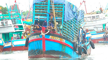 Ghe Cào Vũng Tàu Biển Số Đẹp Nhìn Quá Đã Mắt || Bến Đá - Vũng Tàu