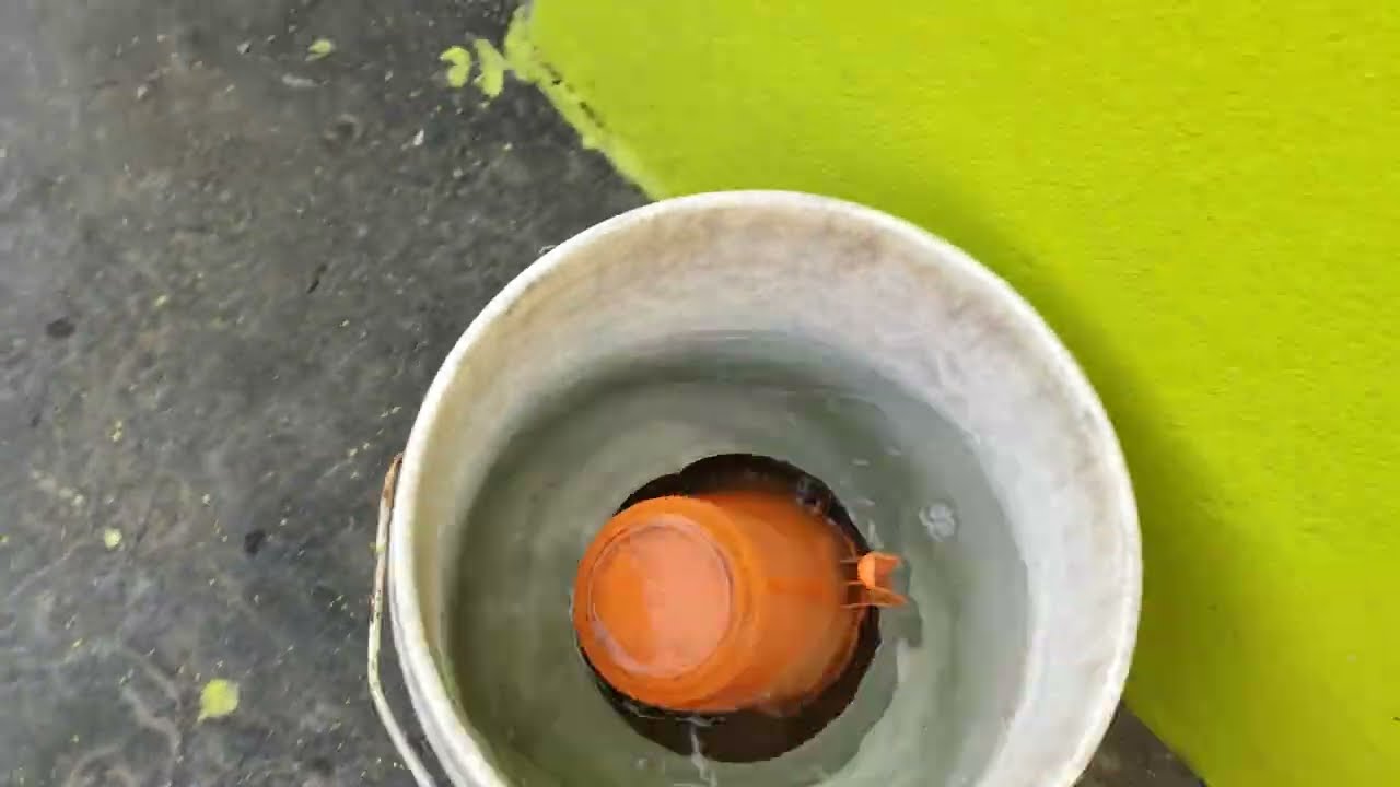 ছাদ টবের গাছে  জল দিতে  অনেক টা টাইম লেগে যায়। তাড়া হুড়ো করতে ও হয় শীতকালে সকাল টা খুব ব্যস্ত।