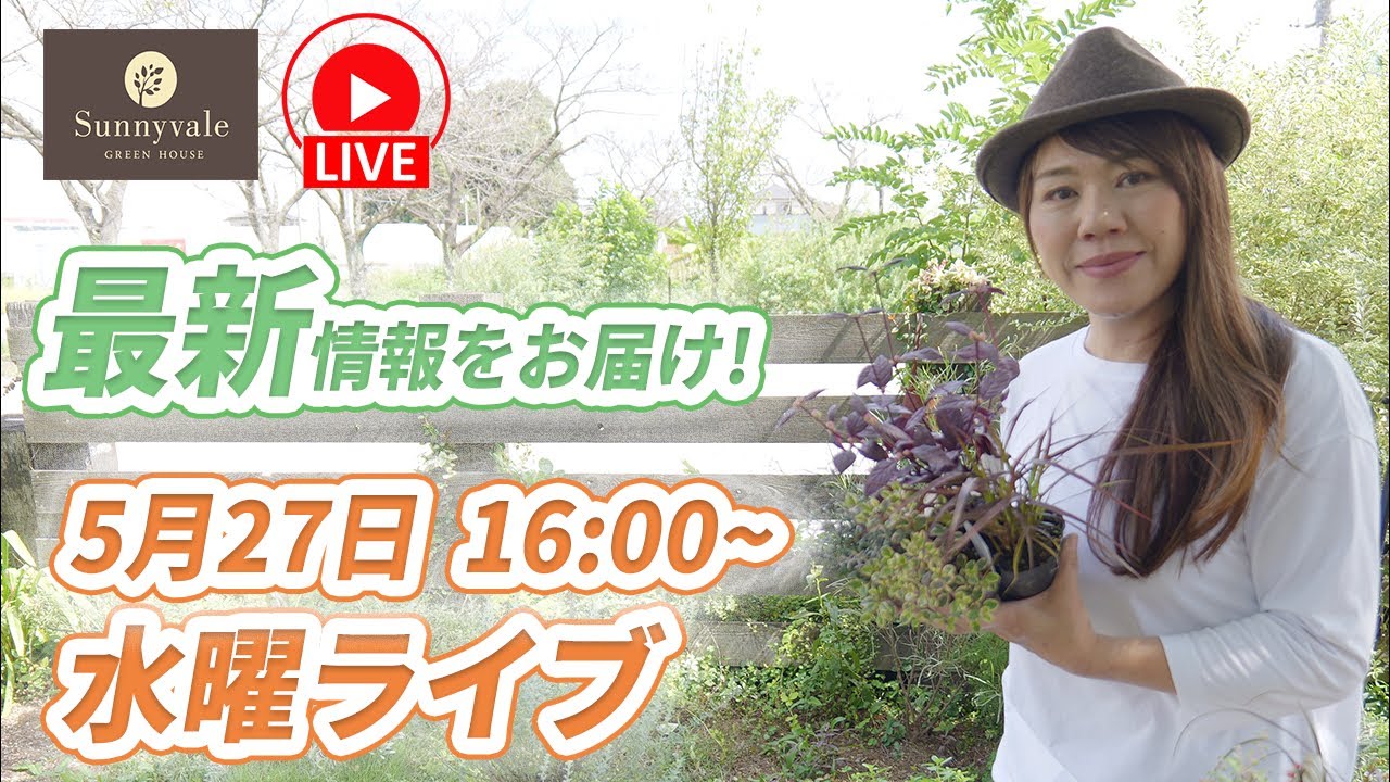 Wednesday Gardening Live! - YouTube