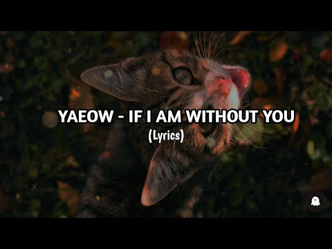 Yaeow - If I am without you (lyrics)