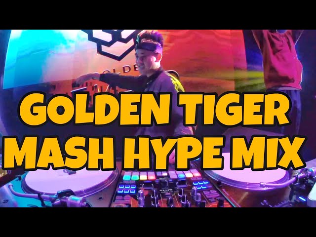 DJ NANDOZ SUNSHINE || GOLDEN TIGER MASH HYPE class=