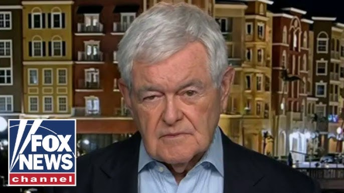 Newt Gingrich Biden Is Violating The Law Every Day