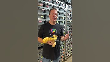 50% off Ball Pythons Sale at Royal Constrictor Designs with promo code sale50. #ballpythonmorphs